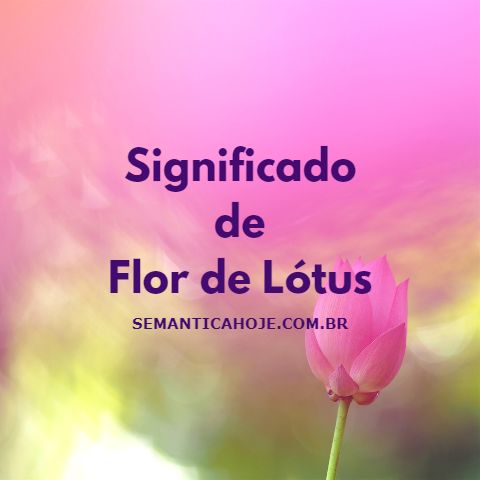 Significado de Flor de Lótus