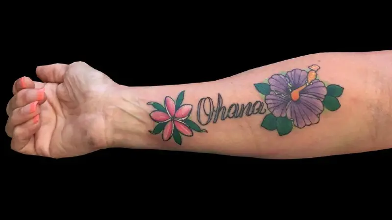 Significado de Ohana