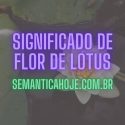 Significado de Flor de Lótus