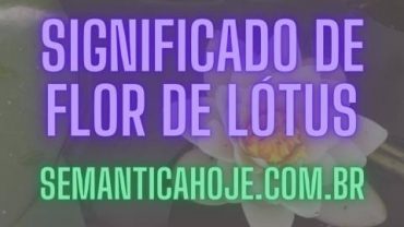 Significado de Flor de Lótus