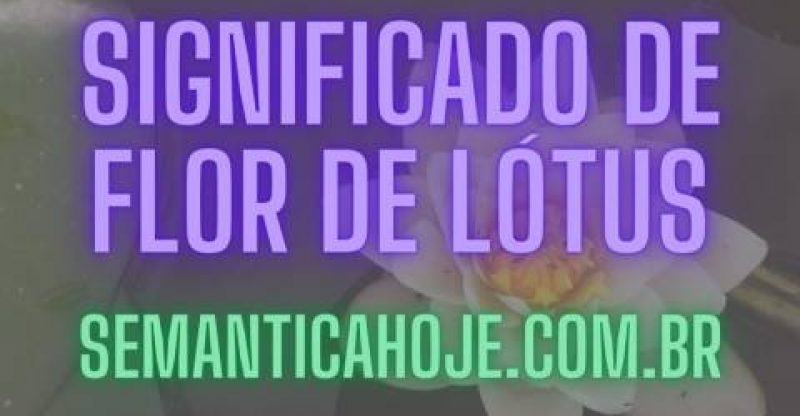 Significado de Flor de Lótus