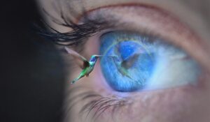 O que significa a visita de um beija-flor na espiritualidade