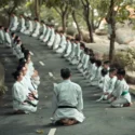 Significado de Oss